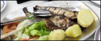 Lisbon Cuisine - Sardines